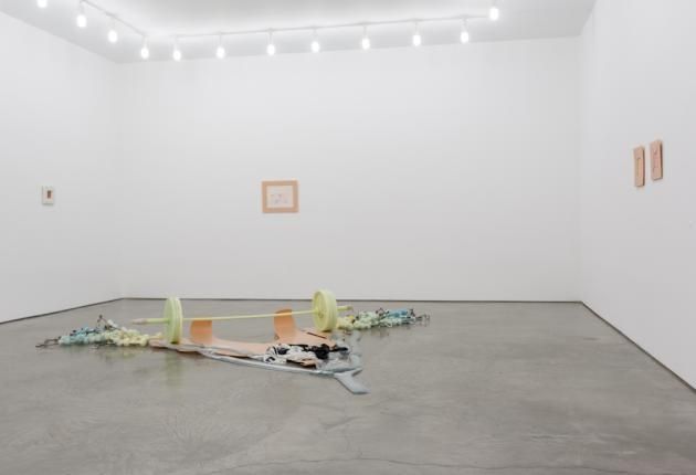 Matthew Barney, Facility Of Decline at Gladstone, photo 7