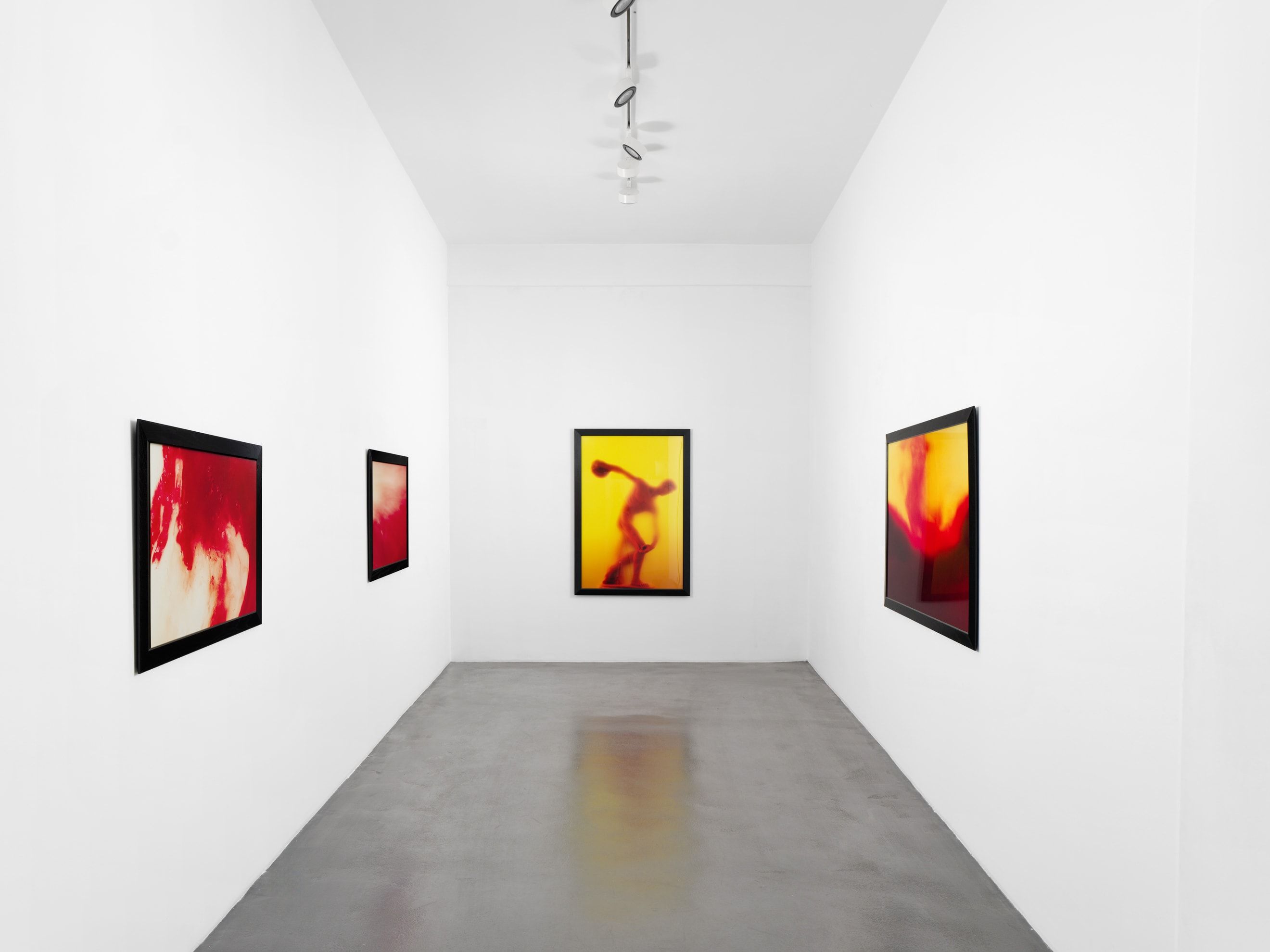 Andres Serrano, A Personal Mythology Immersions and Bodily Fluids at Nathalie Obadia, photo 5