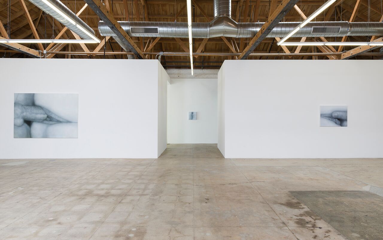 Betty Tompkins, Sex Works / Women Words, Phrases, and Stories at Gavlak, photo 6