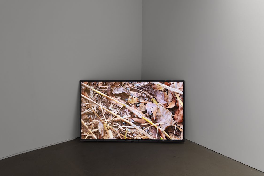 Lawrence Abu Hamdan & Amalia Pica, Tandem at Alexander and Bonin, photo 4