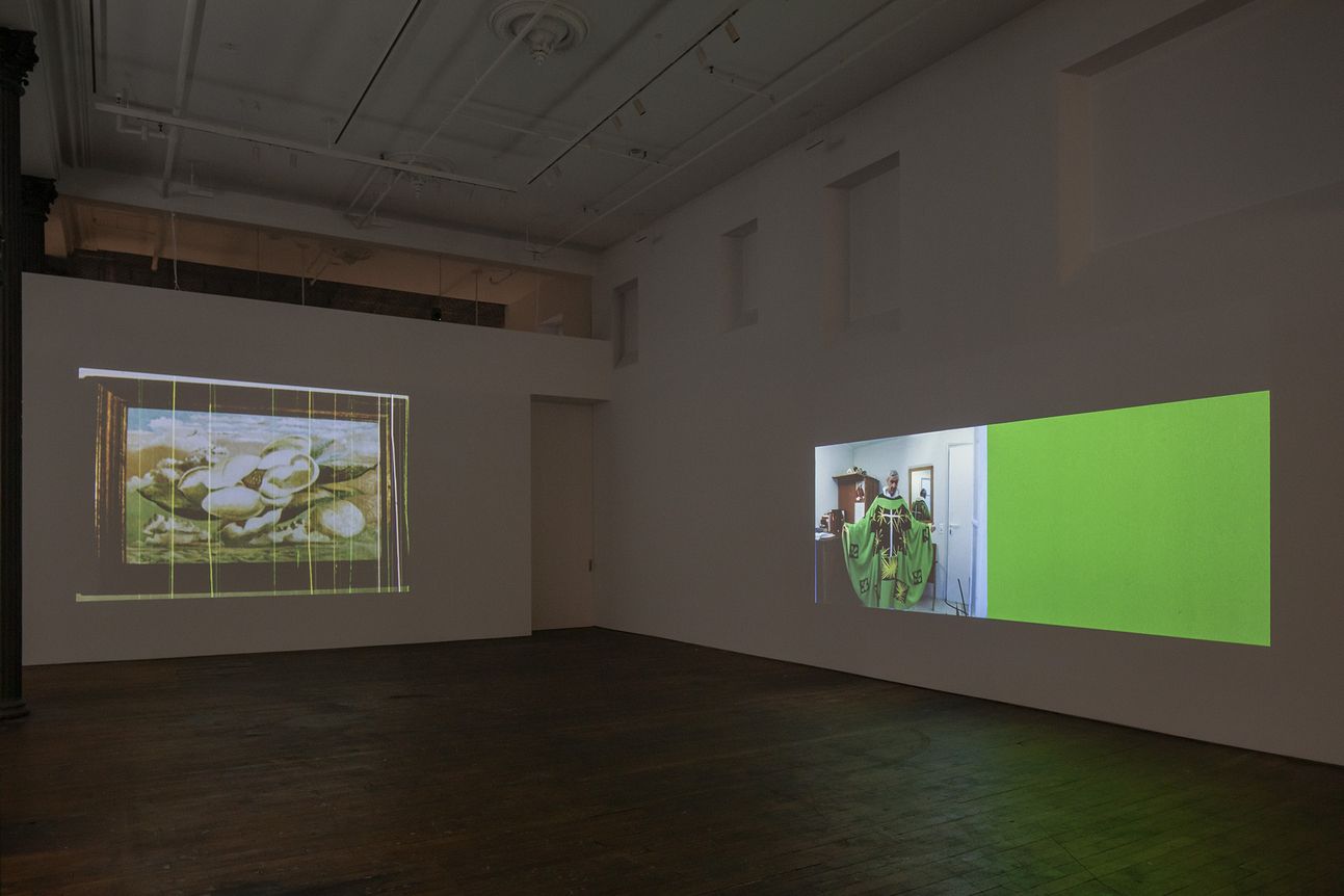 Rosalind Nashashibi & Lucy Skaer, image 4 of 10