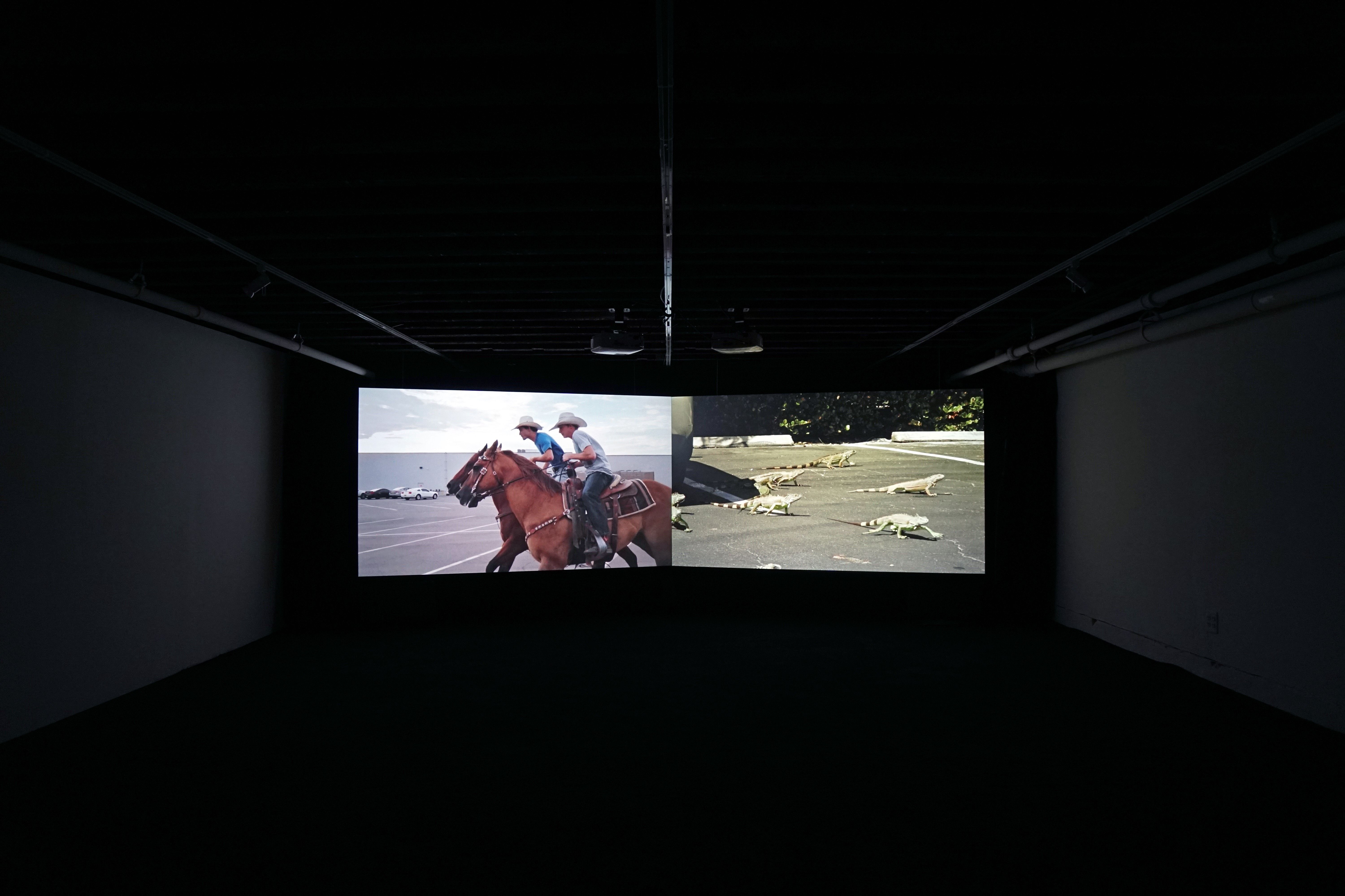 Tommy Malekoff, Desire Lines at CCProjects, photo 2