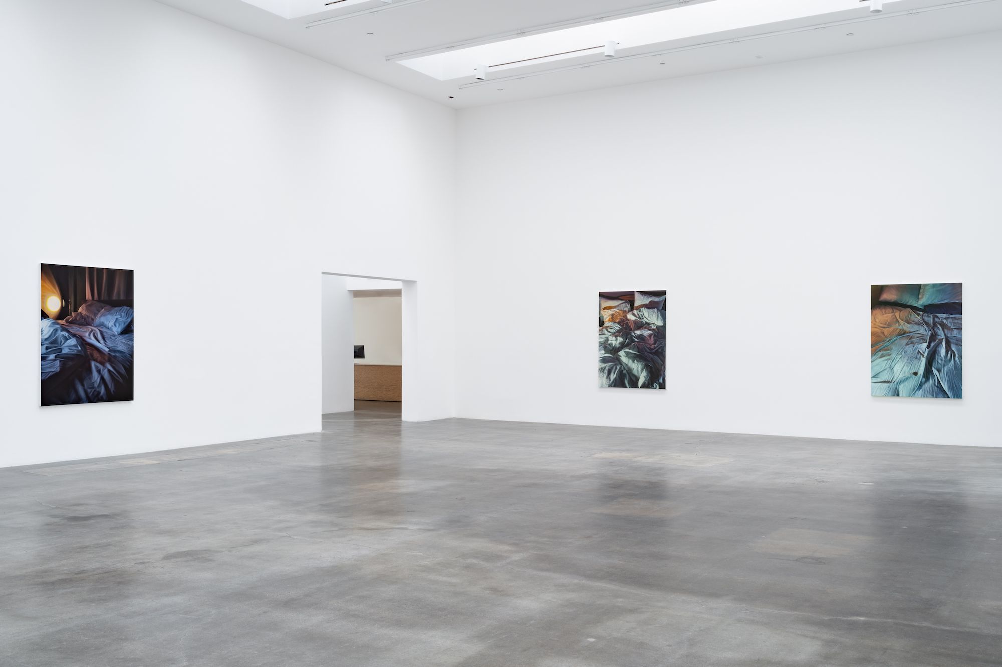 Christopher Hartmann, Nightswimming at Blum & Poe, photo 2