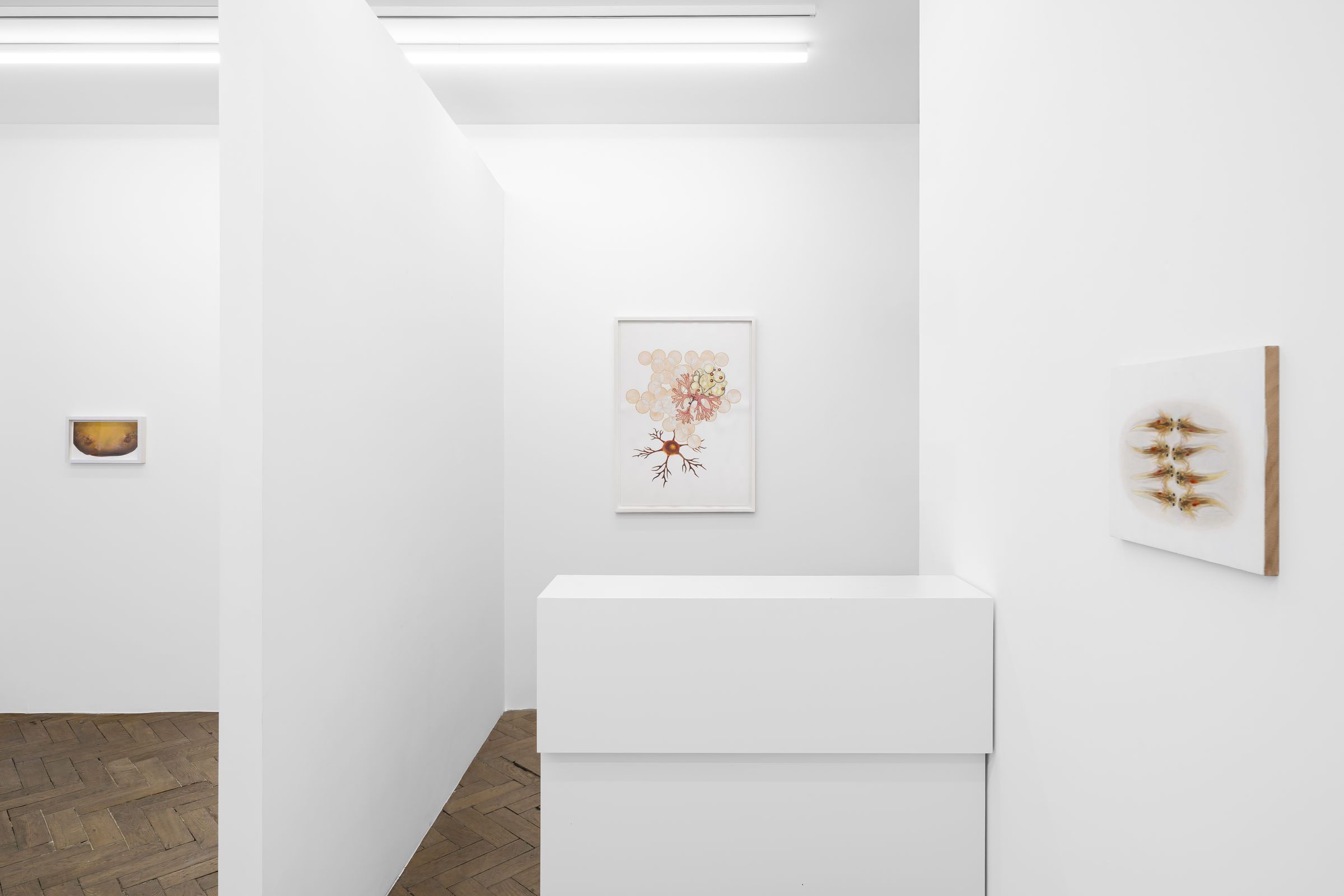 Melanie Smith, An Age of Liberty When the World Had Been Possible at Peter Kilchmann, photo 5